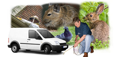 Nottingham local van